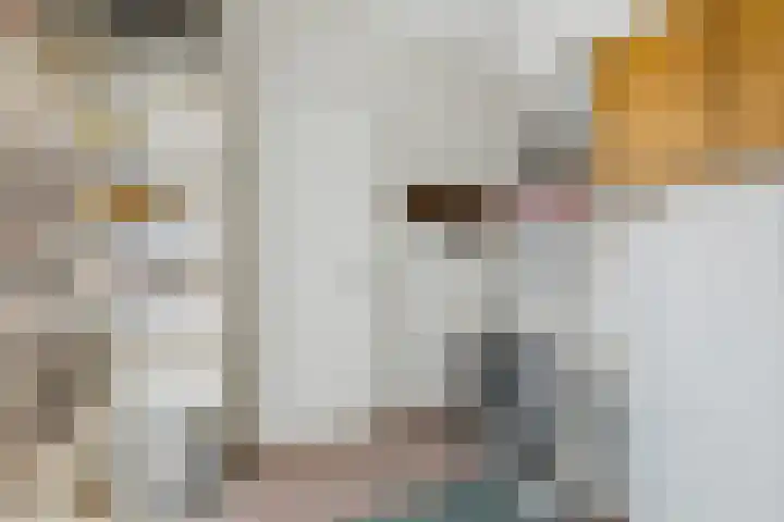Mezenhof 15 Middelburg thumbnail 30