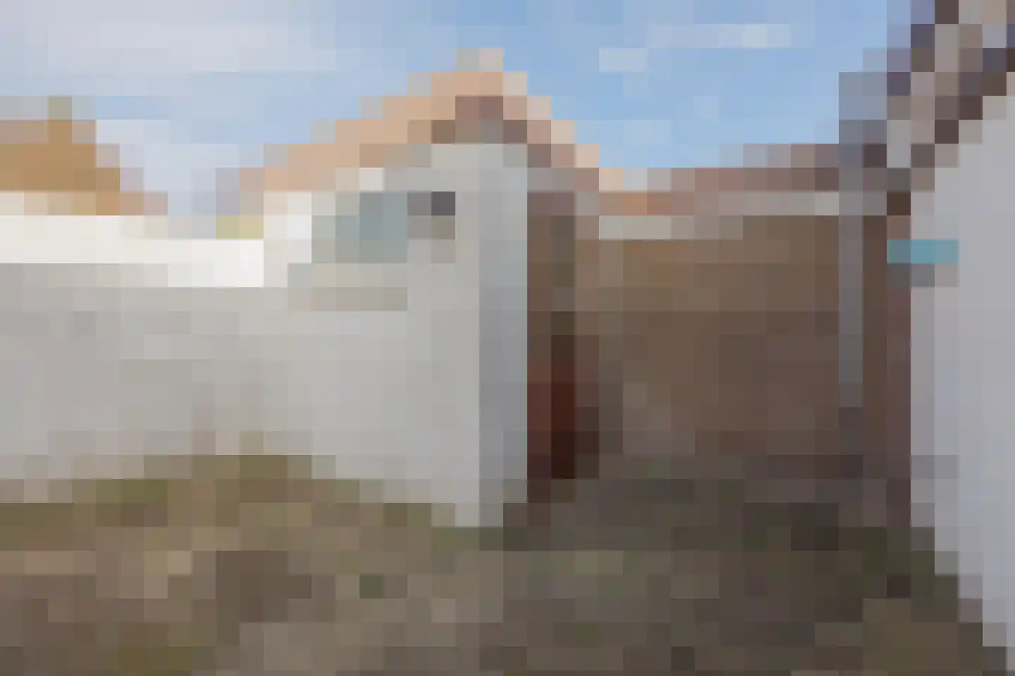 Mezenhof 3 Grubbenvorst thumbnail 23