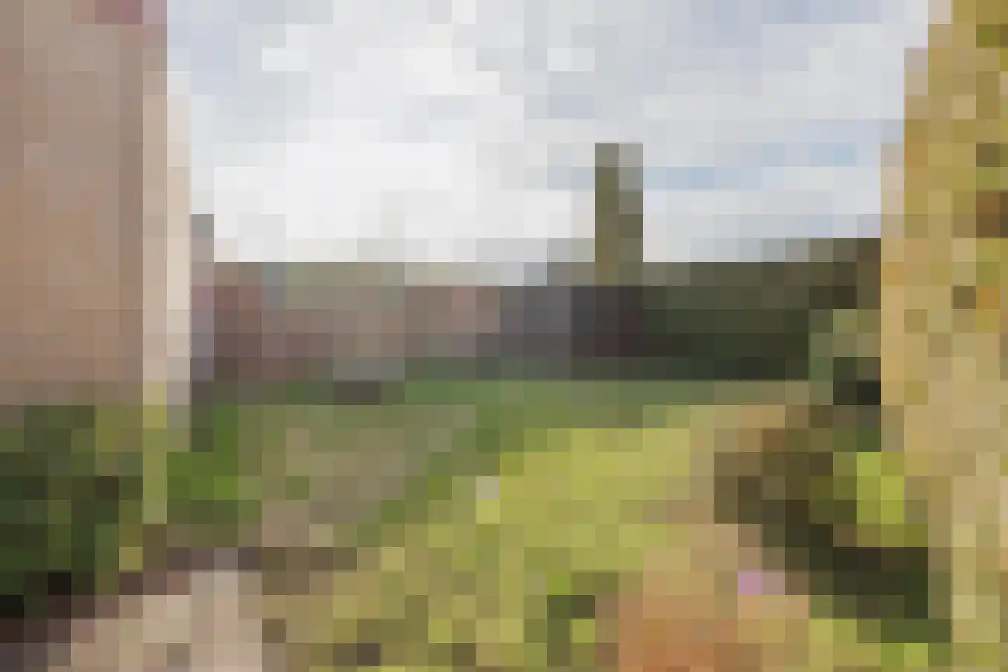 Mezenhof 3 Grubbenvorst thumbnail 24