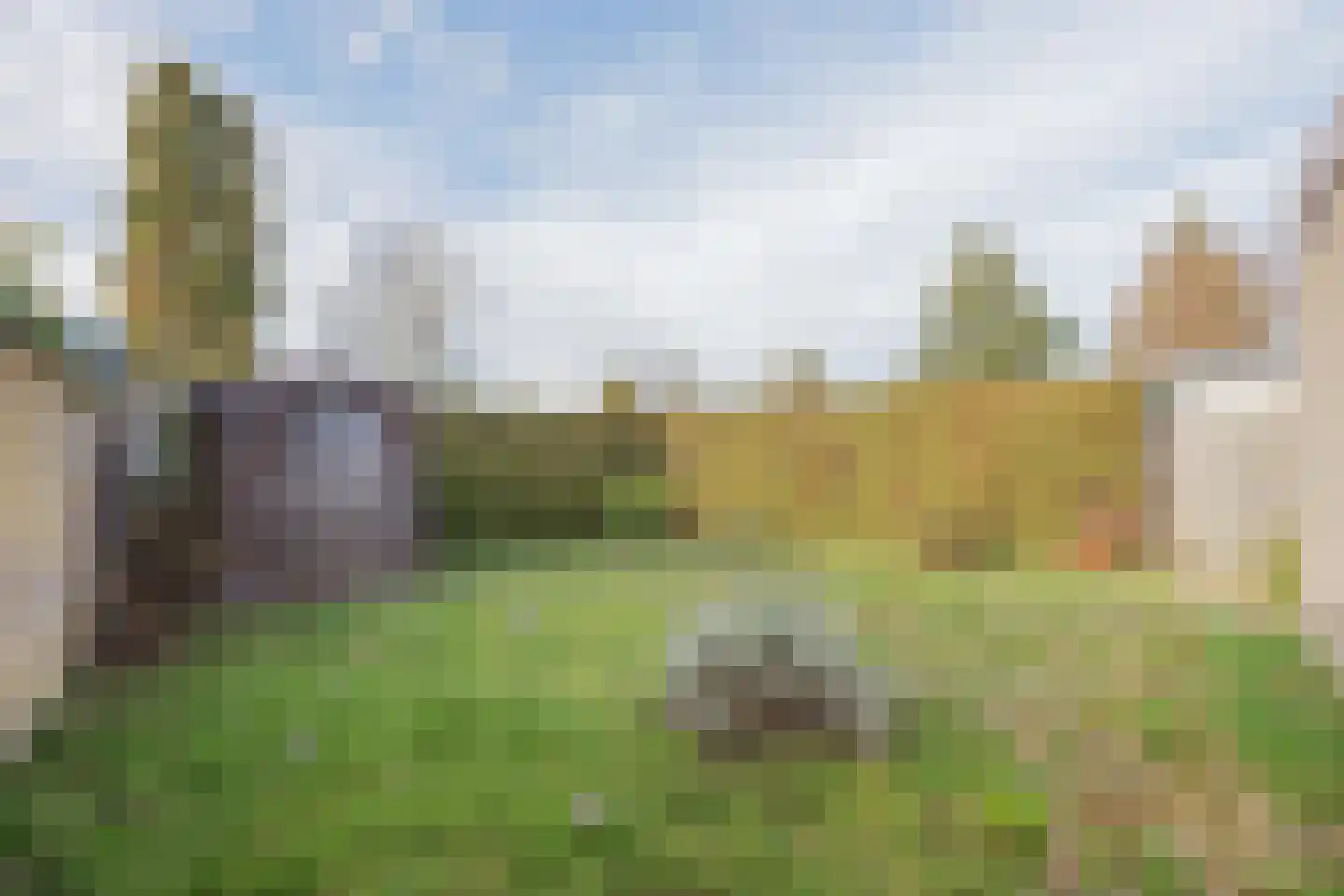 Mezenhof 3 Grubbenvorst thumbnail 26