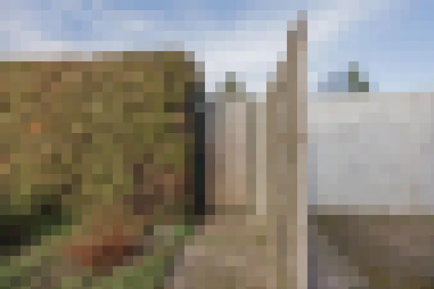 Mezenhof 3 Grubbenvorst thumbnail 27