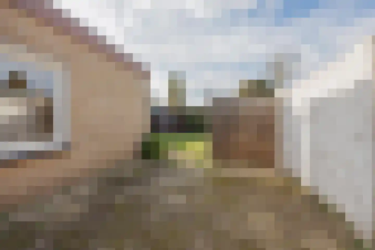 Mezenhof 3 Grubbenvorst thumbnail 4