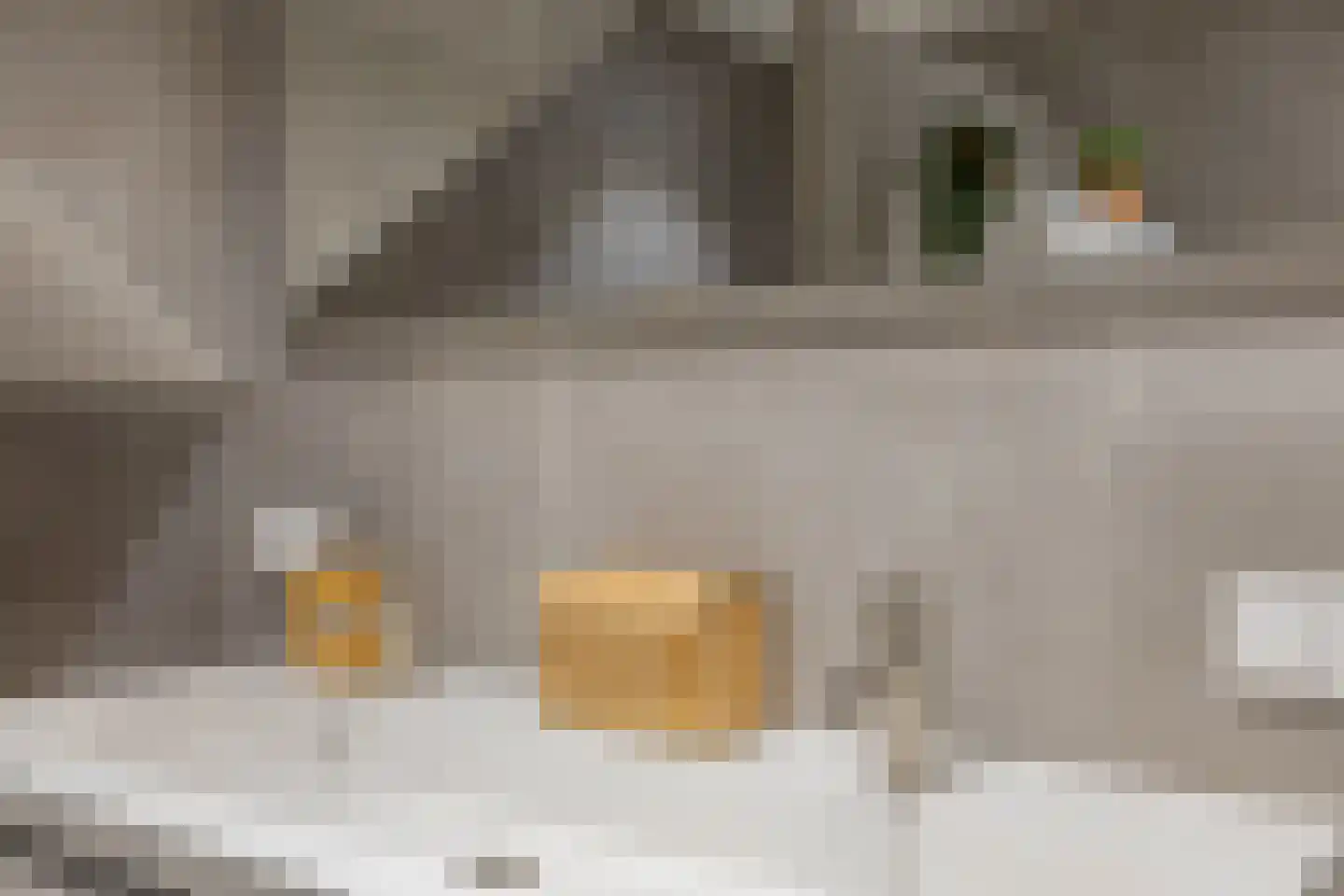 Mezenhof 4 Middelburg thumbnail 40