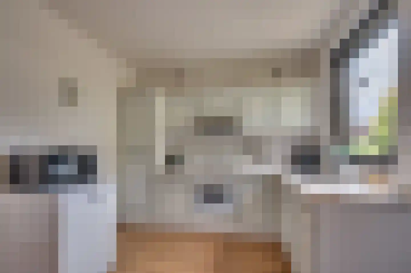 Mezenhof 6 Grubbenvorst thumbnail 13
