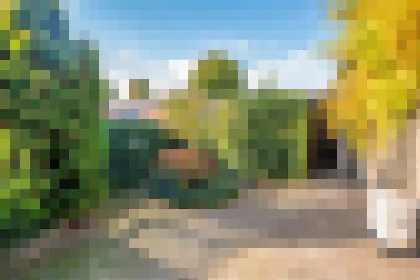 Mezenhof 6 Grubbenvorst thumbnail 31