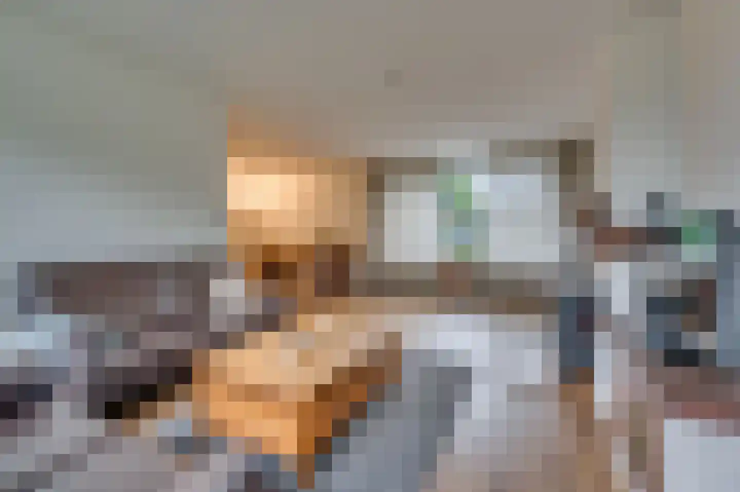 Mezenhof 6 Grubbenvorst thumbnail 7