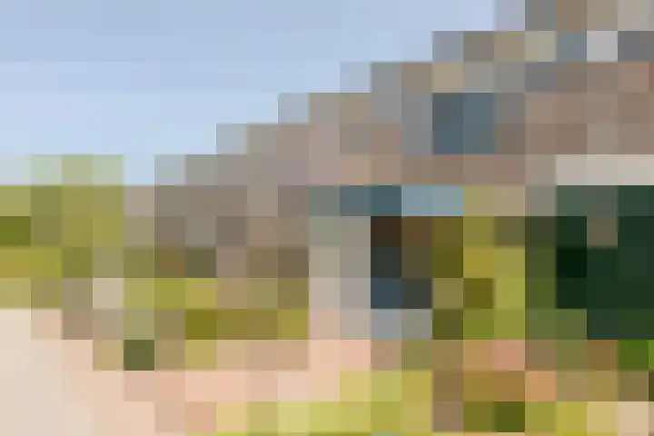 Mezenhof 6 Rozenburg thumbnail 33
