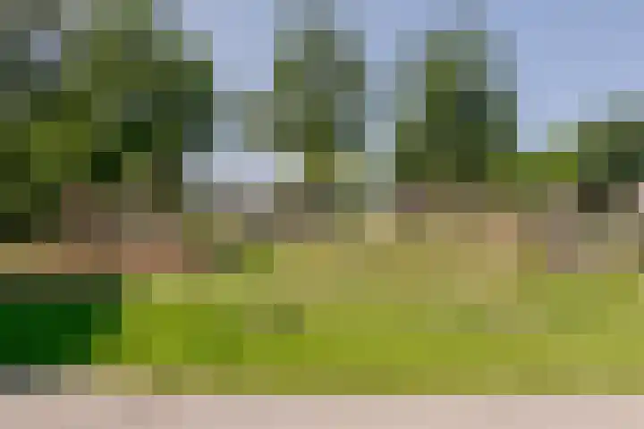 Mezenhof 6 Rozenburg thumbnail 34