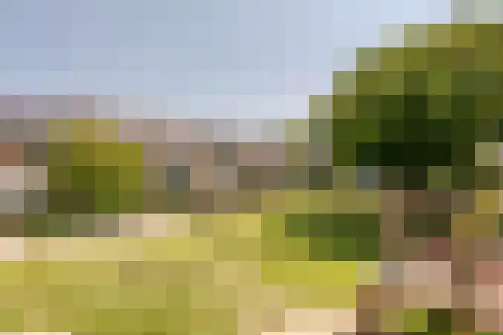 Mezenhof 6 Rozenburg thumbnail 35