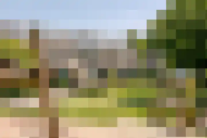 Mezenhof 6 Rozenburg thumbnail 36