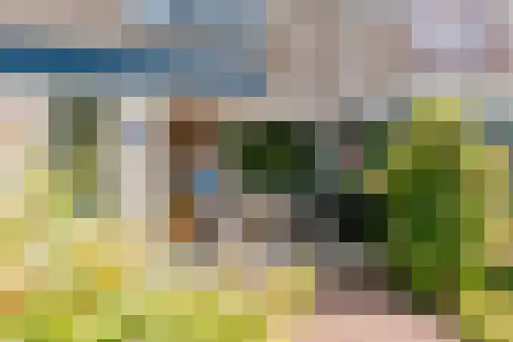 Mezenhof 6 Rozenburg thumbnail 6