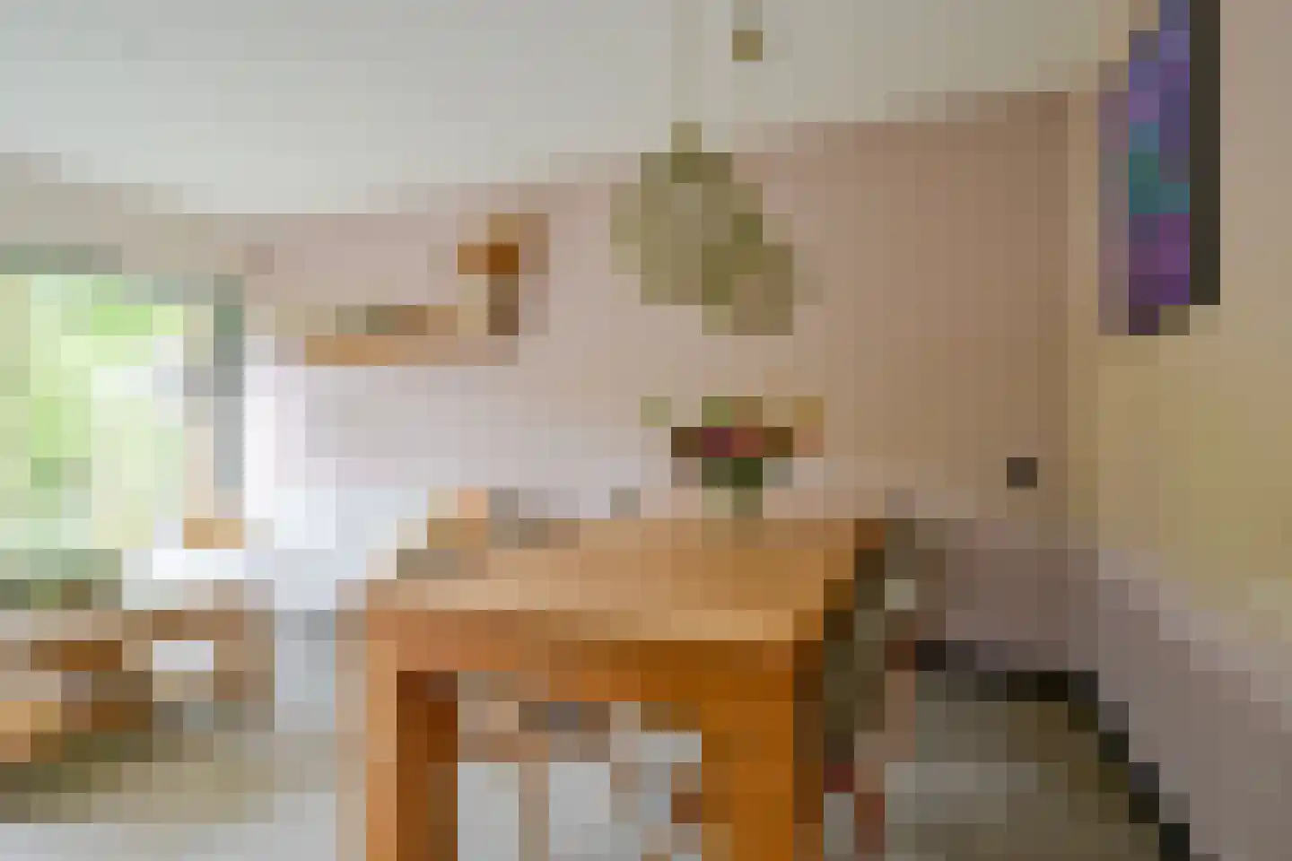 Mezenhof 69 Schagen thumbnail 10