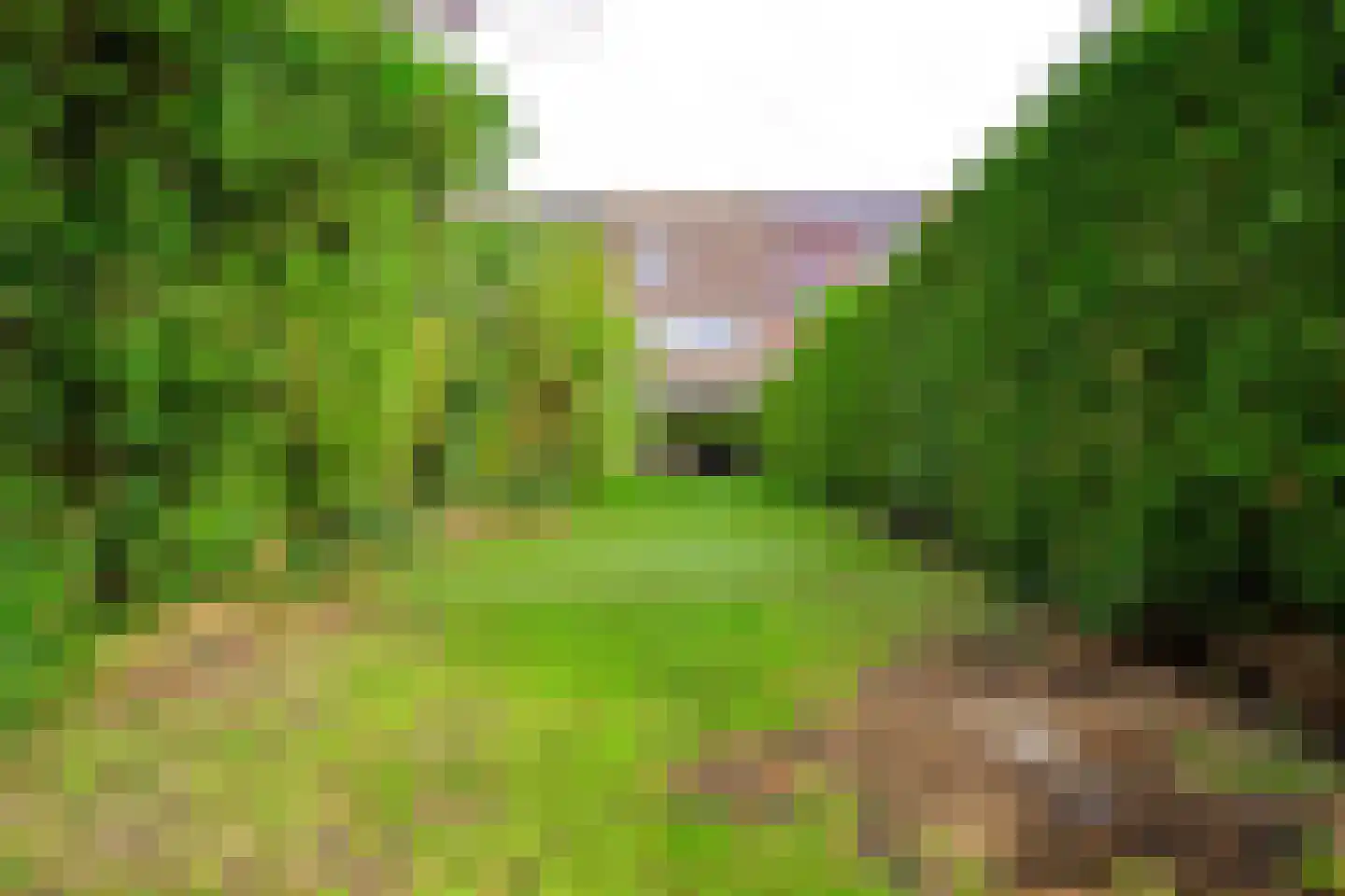 Mezenhof 69 Schagen thumbnail 16