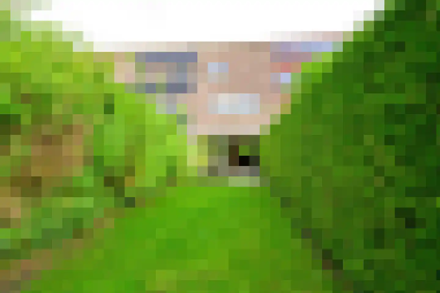 Mezenhof 69 Schagen thumbnail 17