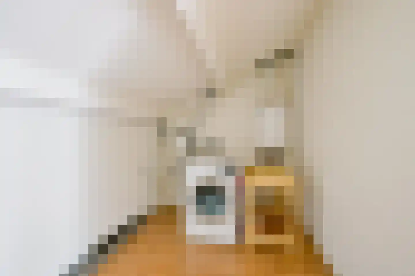 Mezenhof 69 Schagen thumbnail 35