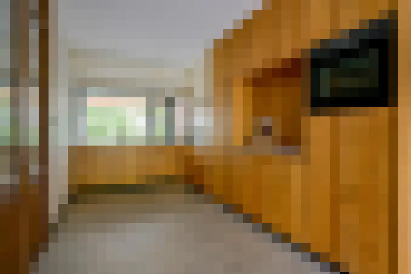 Mezenhof 69 Schagen thumbnail 4