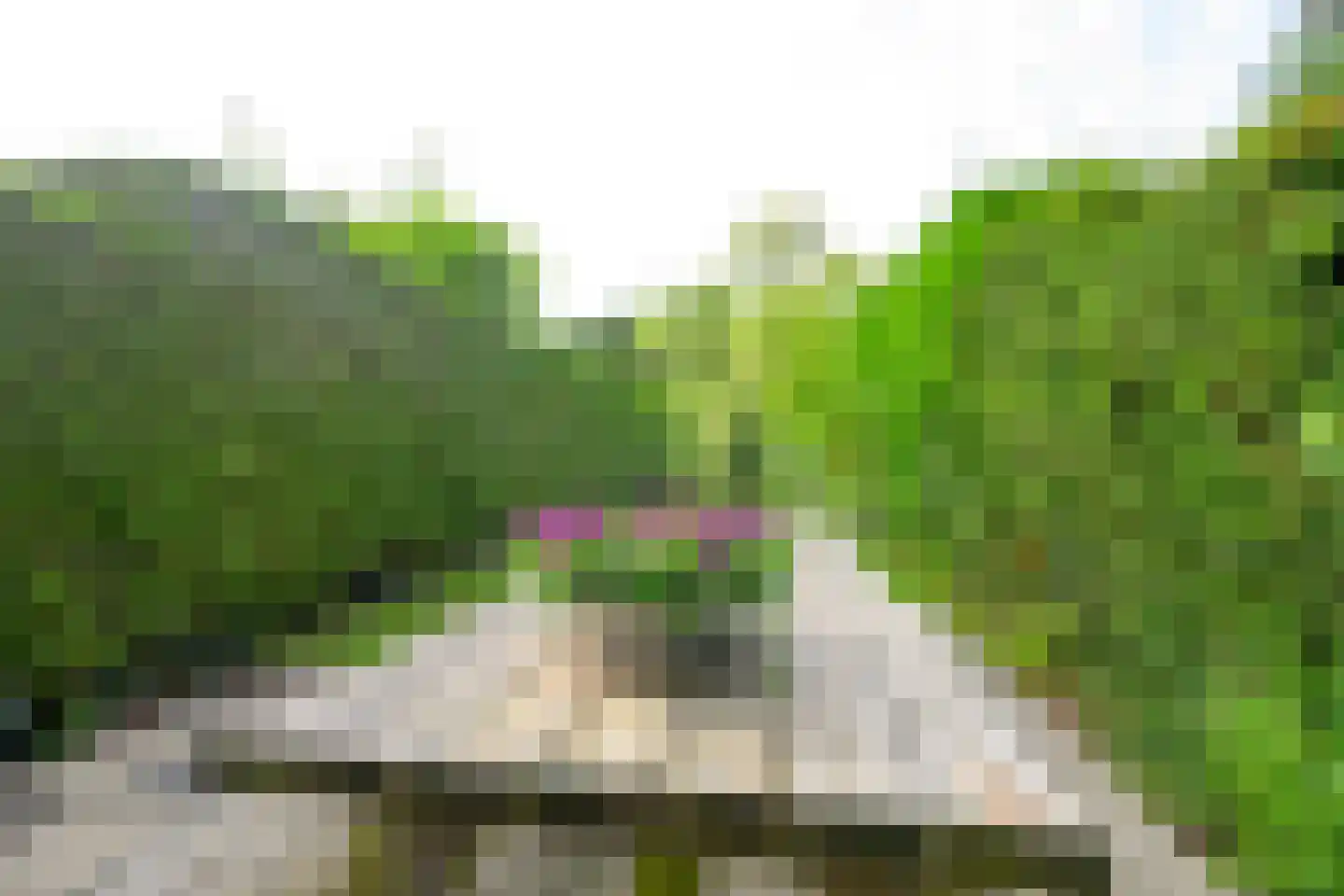 Mezenhof 69 Schagen thumbnail 6