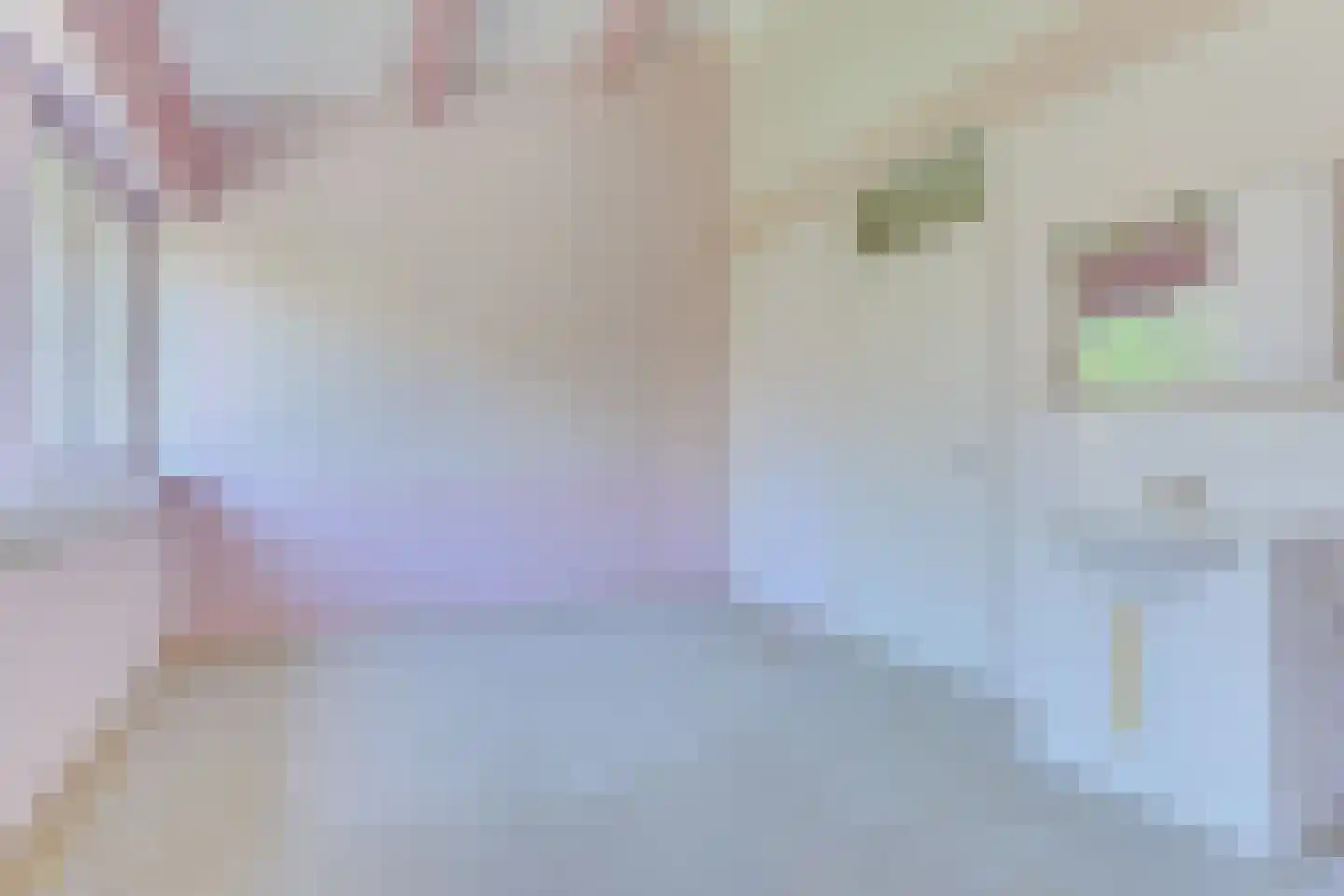Mezenhof 75 Schagen thumbnail 17