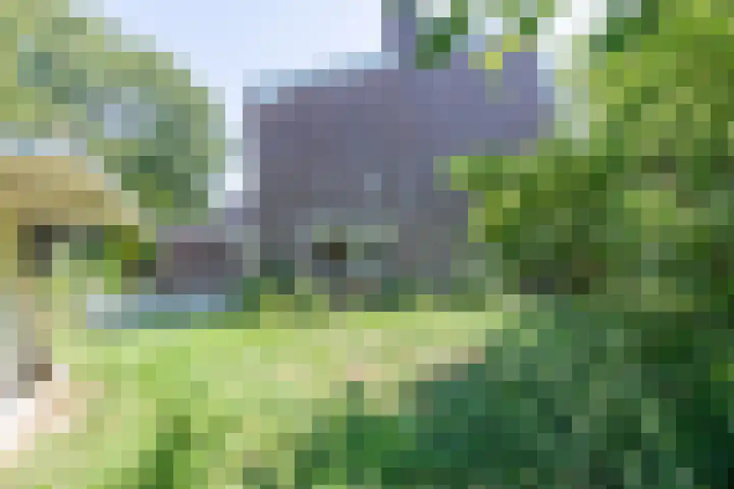 Mezenhof 75 Schagen thumbnail 34