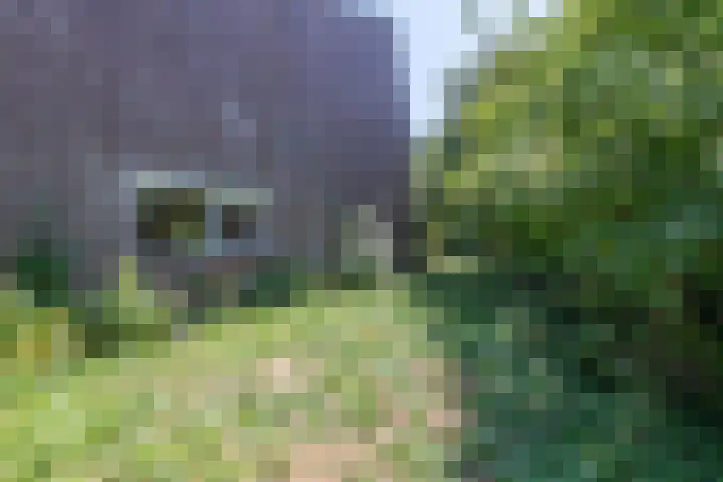 Mezenhof 75 Schagen thumbnail 35