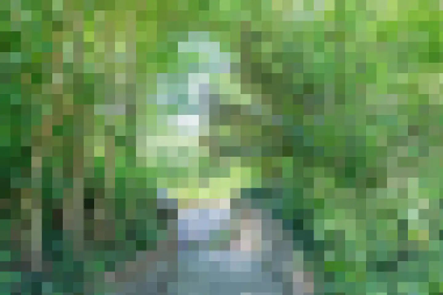 Mezenhof 75 Schagen thumbnail 37