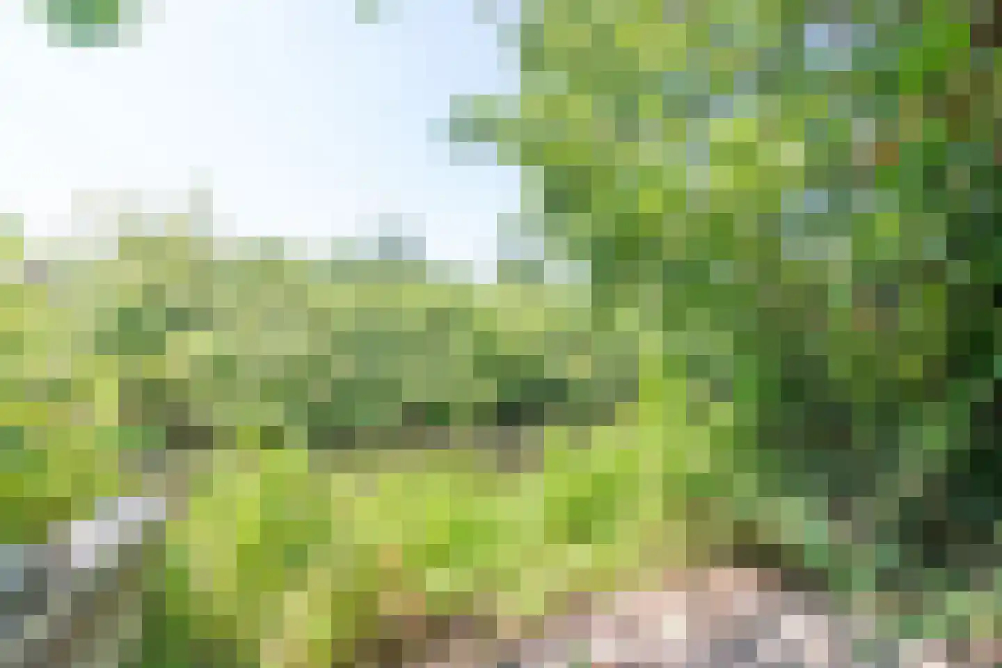 Mezenhof 75 Schagen thumbnail 38