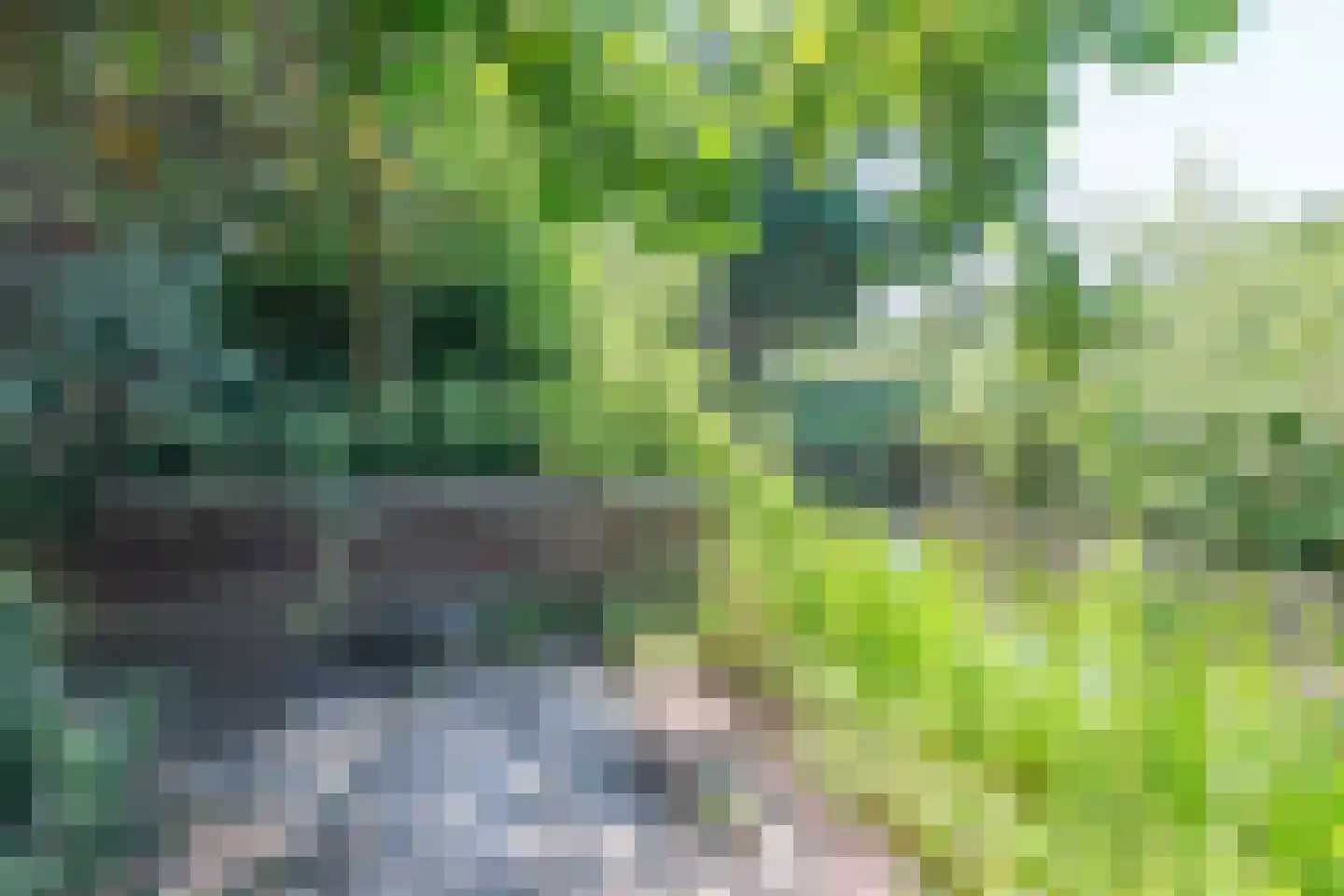 Mezenhof 75 Schagen thumbnail 39