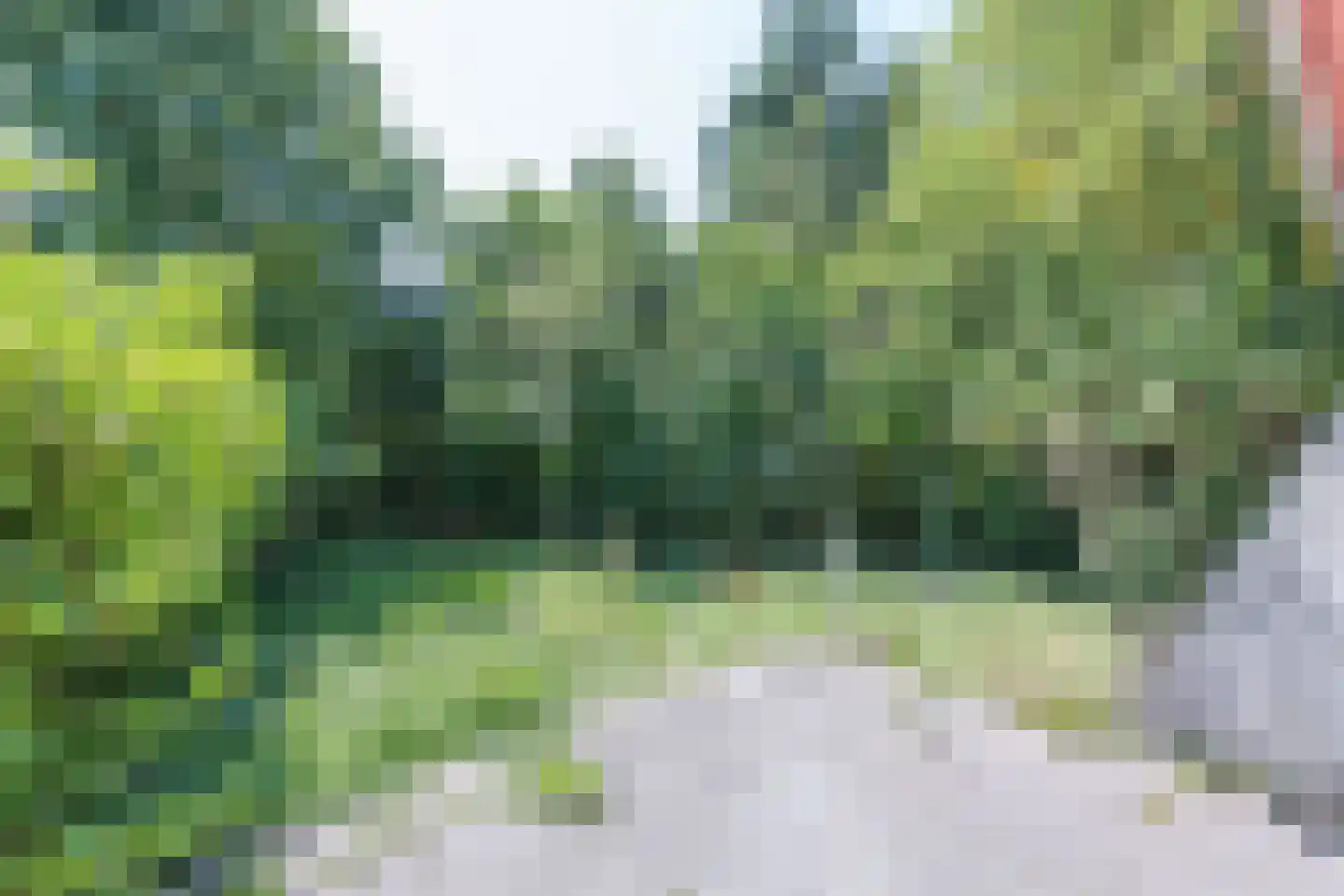 Mezenhof 75 Schagen thumbnail 41