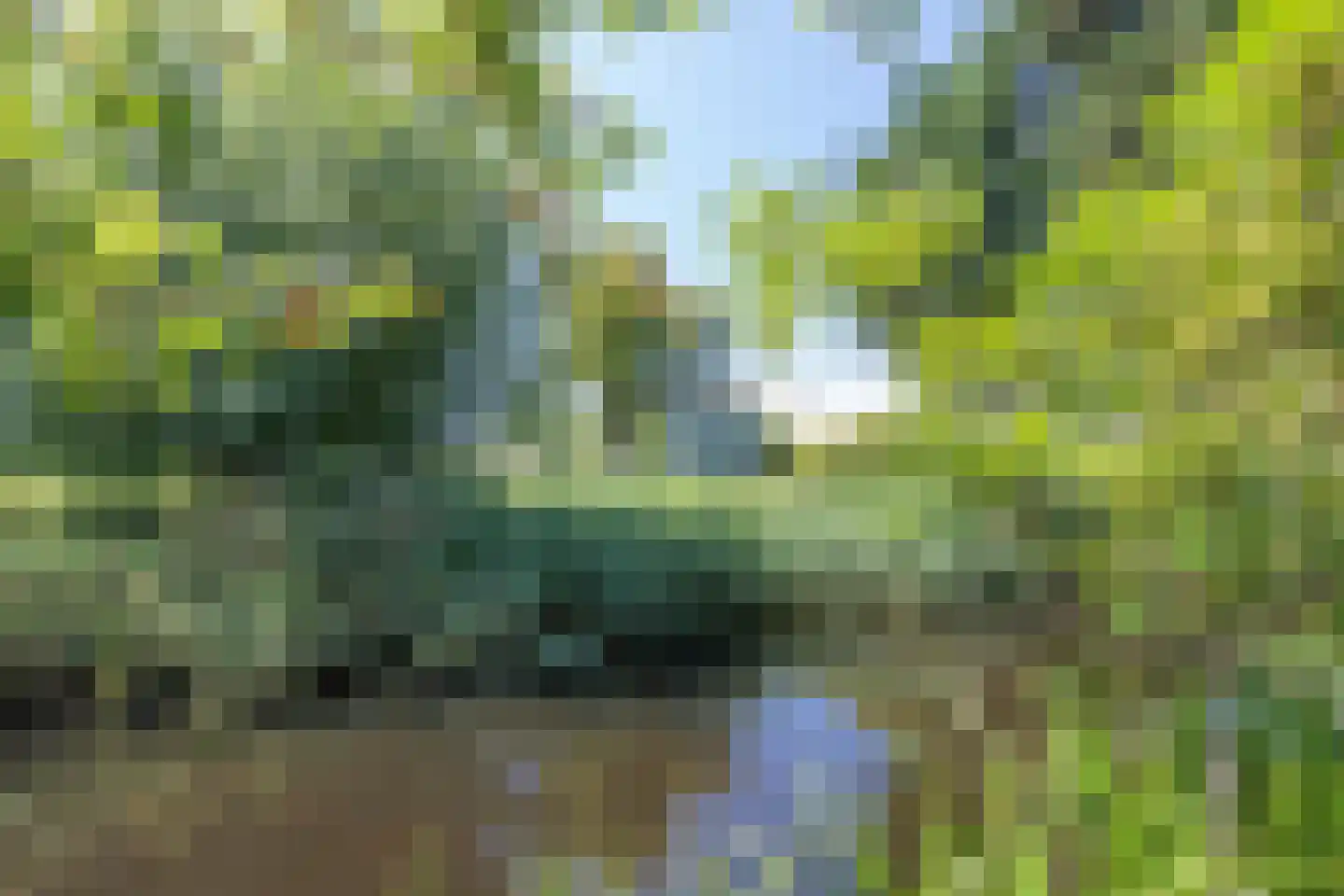 Mezenhof 75 Schagen thumbnail 42