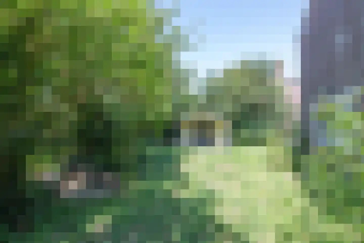 Mezenhof 75 Schagen thumbnail 44