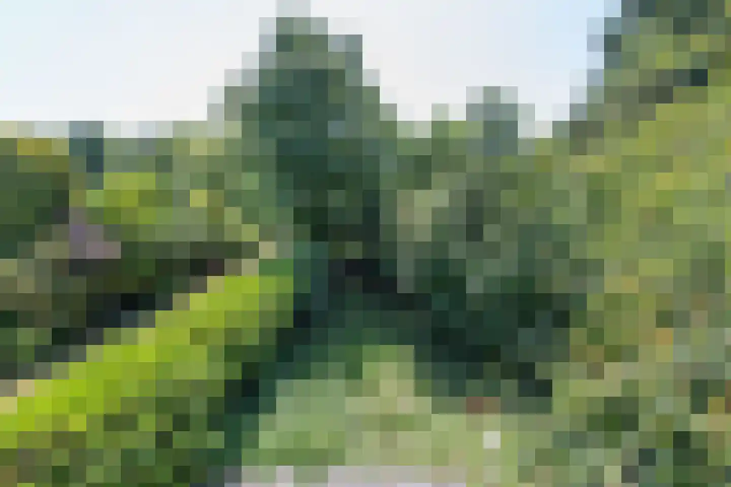 Mezenhof 75 Schagen thumbnail 46