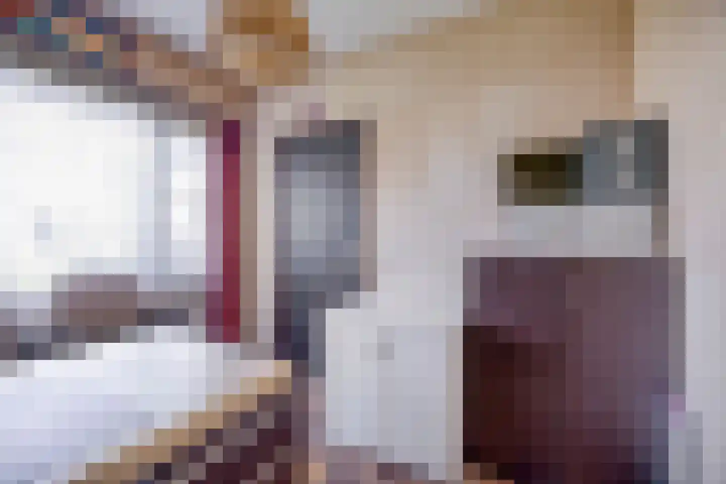 Mezenhof 8 Domburg thumbnail 12