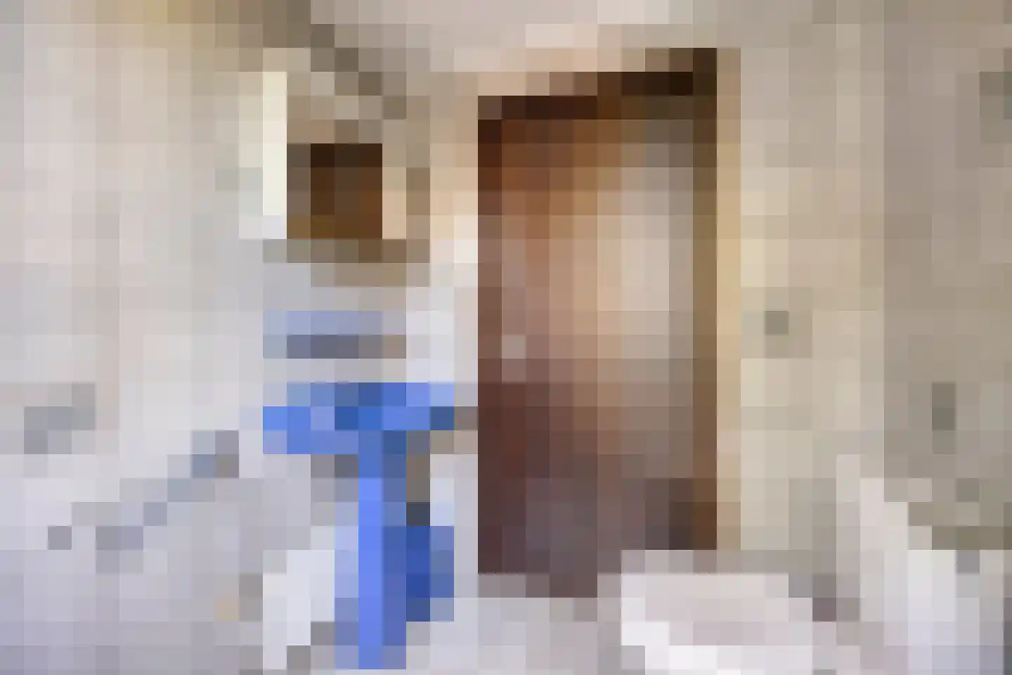 Mezenhof 8 Domburg thumbnail 17