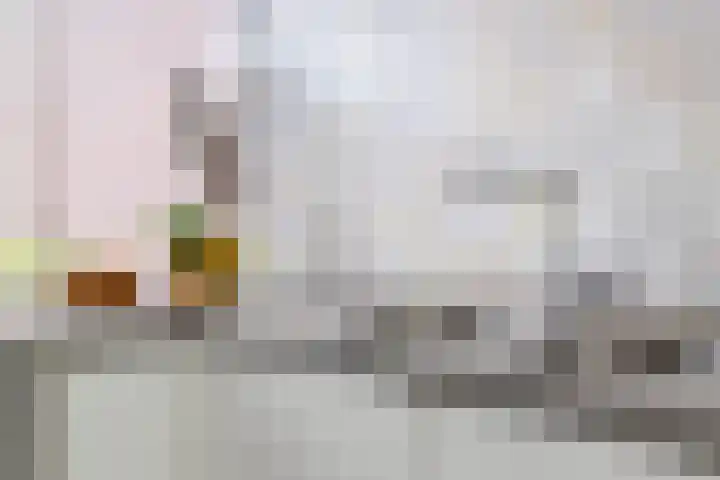 Mezenhof 97 Schagen thumbnail 10