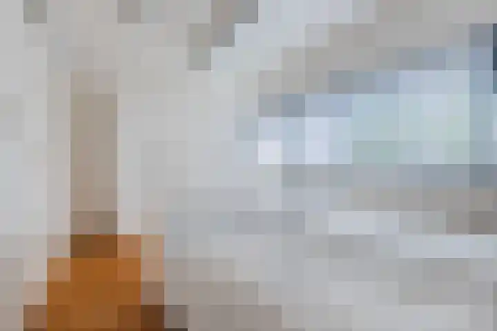 Mezenhof 97 Schagen thumbnail 12