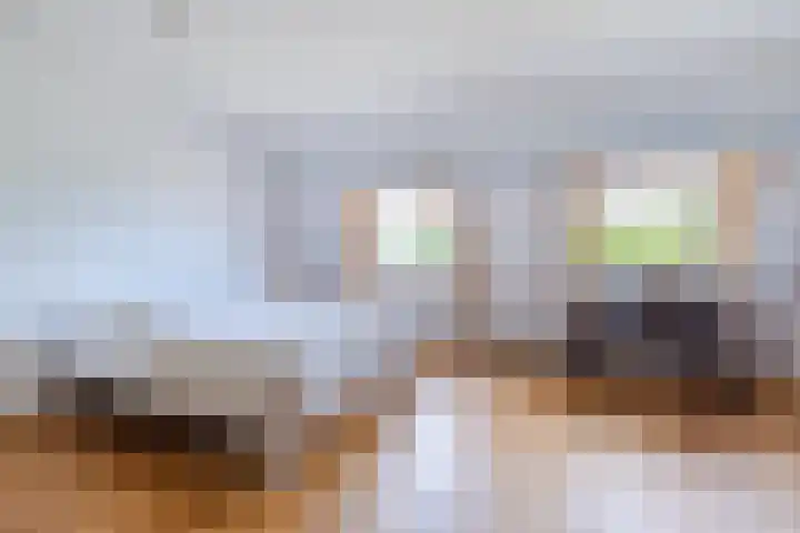 Mezenhof 97 Schagen thumbnail 13