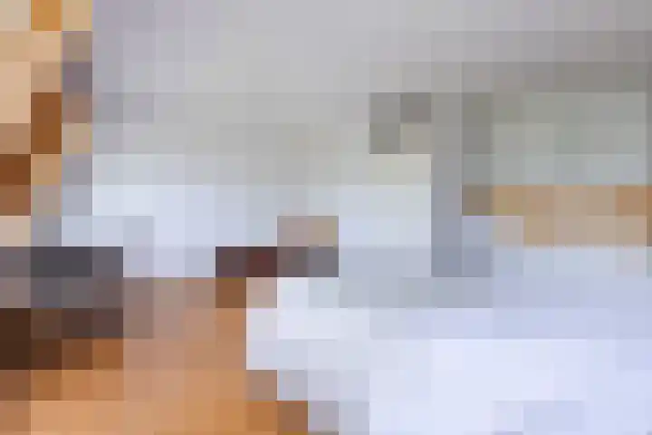 Mezenhof 97 Schagen thumbnail 14