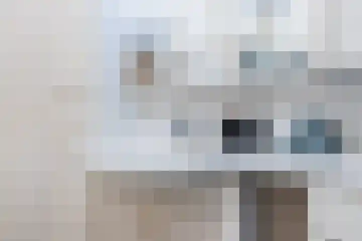 Mezenhof 97 Schagen thumbnail 16