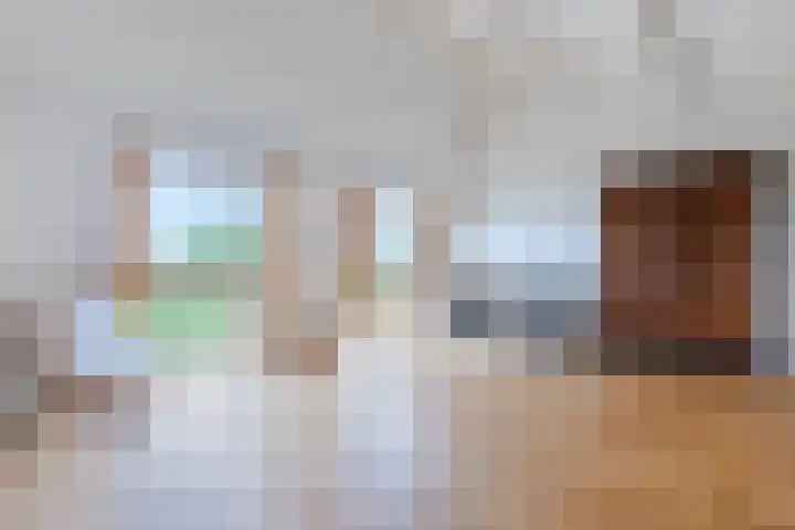 Mezenhof 97 Schagen thumbnail 18