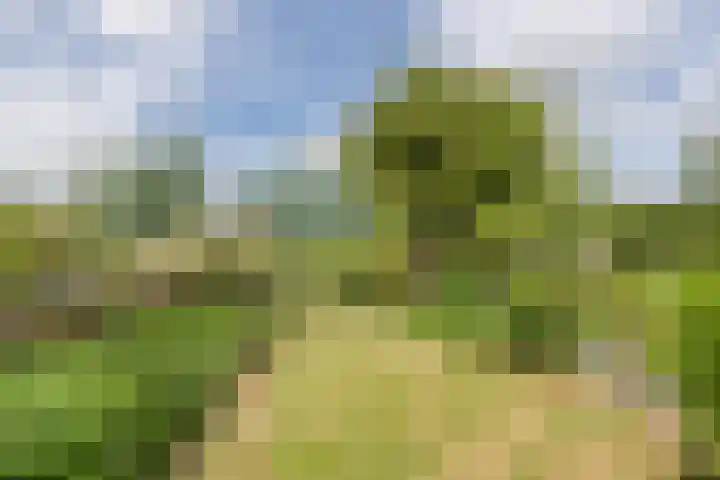 Mezenhof 97 Schagen thumbnail 21
