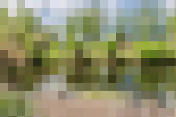 Mezenhof 97 Schagen thumbnail 22