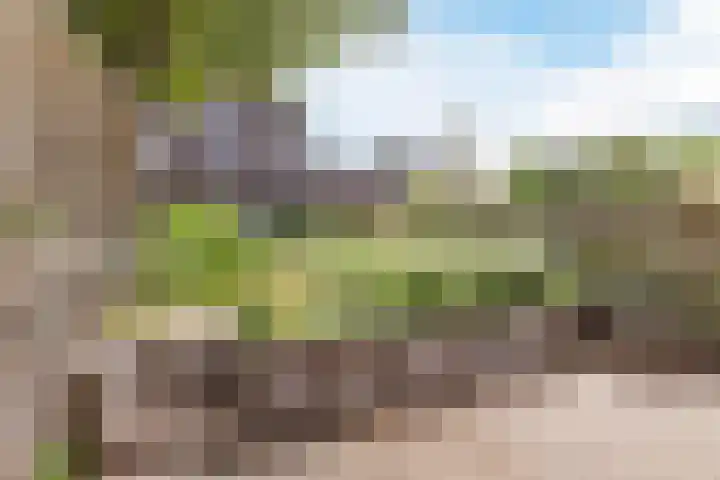 Mezenhof 97 Schagen thumbnail 24