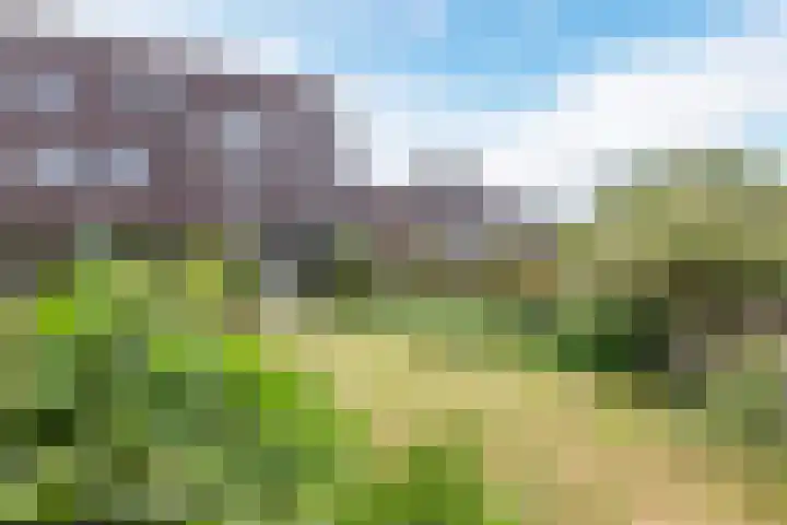 Mezenhof 97 Schagen thumbnail 25
