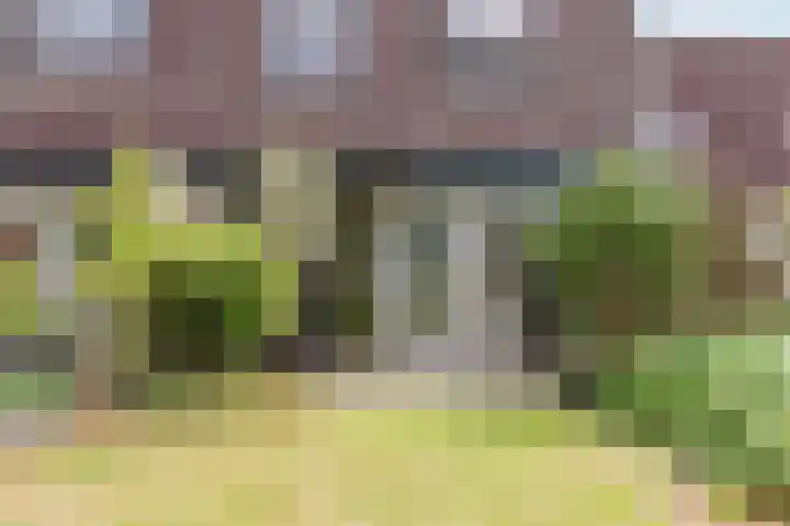 Mezenhof 97 Schagen thumbnail 26