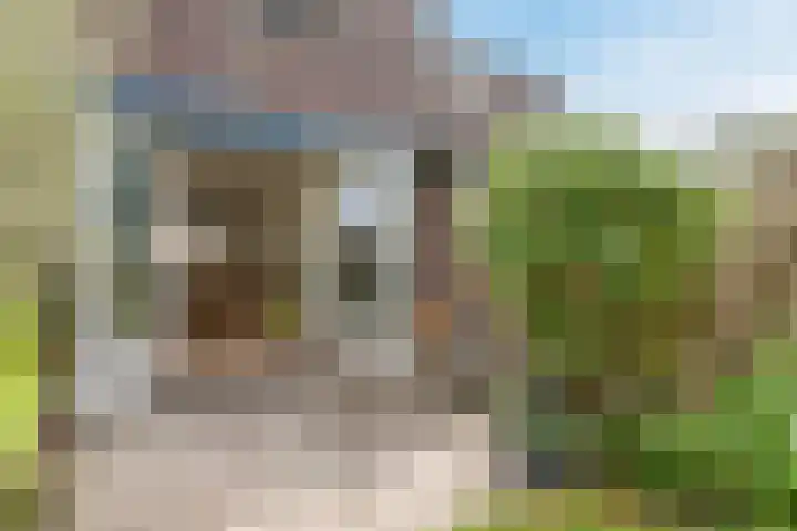 Mezenhof 97 Schagen thumbnail 28