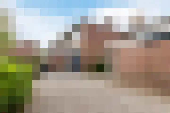 Mezenhof 97 Schagen thumbnail 29
