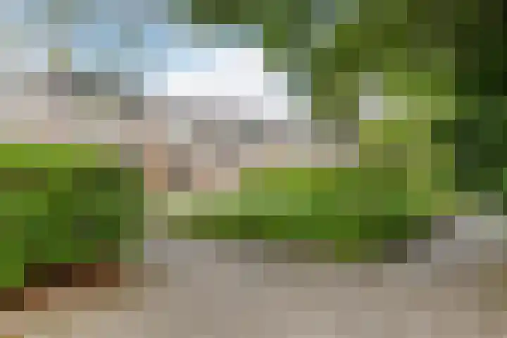 Mezenhof 97 Schagen thumbnail 31