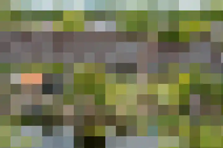 Mezenhof 97 Schagen thumbnail 33