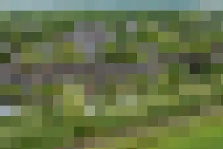 Mezenhof 97 Schagen thumbnail 34