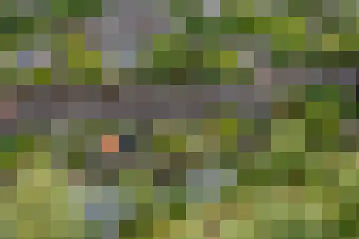 Mezenhof 97 Schagen thumbnail 43